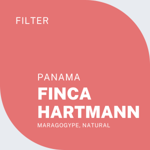 FINCA HARTMANN