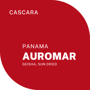 CARMEN ESTATE