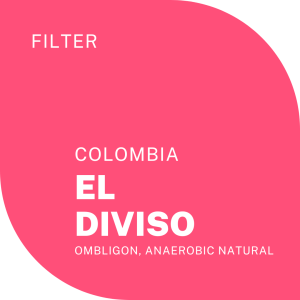 EL DIVISO
