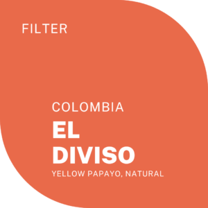 EL DIVISO