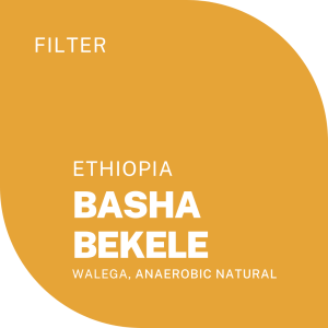 BASHA BEKELE